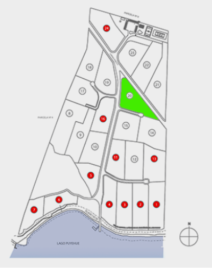 lote-20
